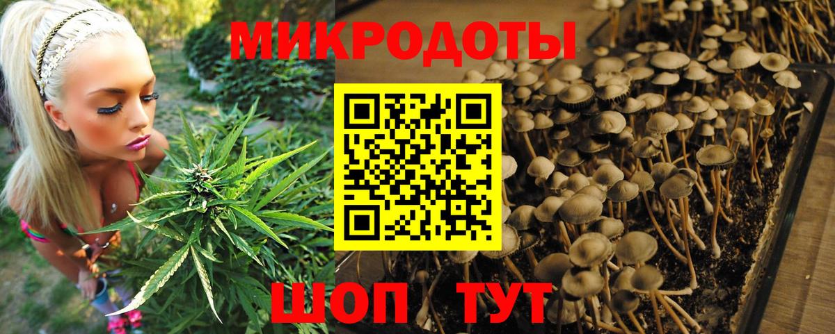 Кострома  Псилоцибиновые грибы Psilocybe  где можно купить   Вход с VPN 